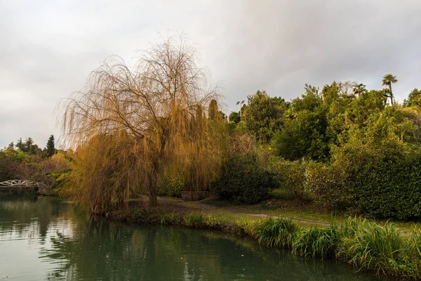 Herfst landschap met een vijver — Stockfoto