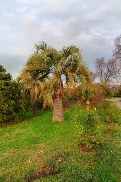 Paisagem no parque — Fotografia de Stock