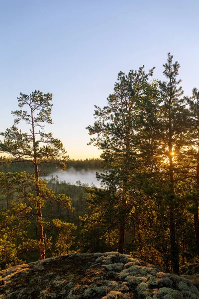 Brouillard sur un petit lac forestier — Photo