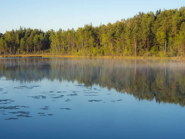 Озеро с отражениями — стоковое фото