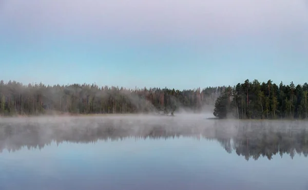 Лесное озеро летним утром — стоковое фото