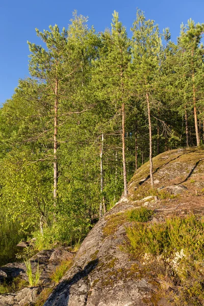 Skalisty brzeg leśnego jeziora — Zdjęcie stockowe