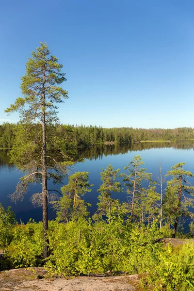 Paisaje en un lago de bosque — Foto de Stock