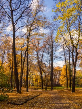 güneşli bir sonbahar günü