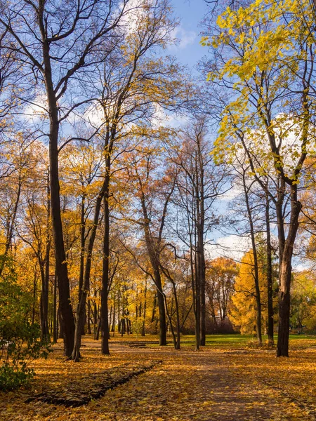 Zonnige herfst dag — Stockfoto