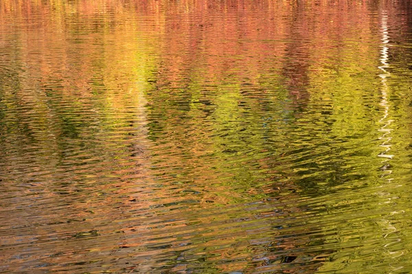 autumn water in sunny day