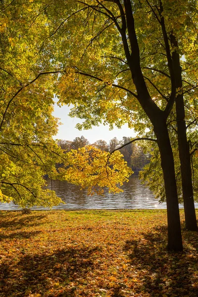 Paisaje soleado en otoño —  Fotos de Stock