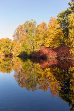 su sonbahar yansıma