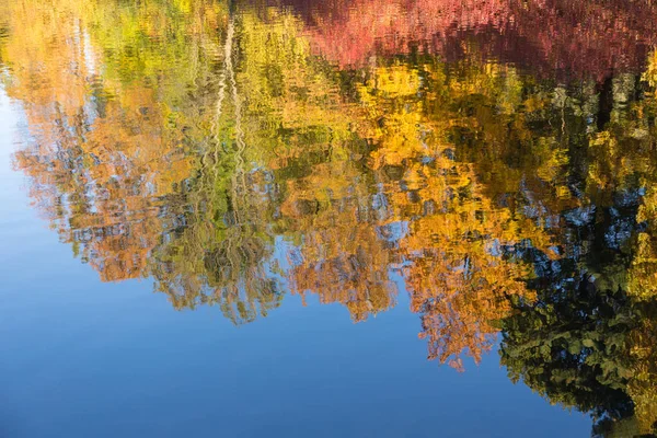 Autumn trees in blue water — Stock Photo, Image