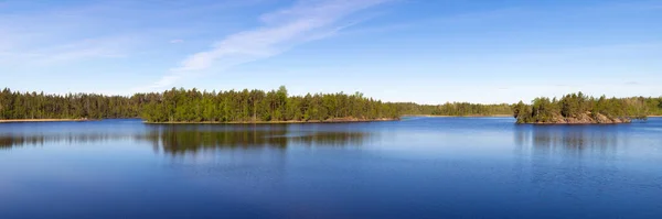 Δάσος Λίμνη Πανόραμα Μια Ηλιόλουστη Μέρα Του Καλοκαιριού — Φωτογραφία Αρχείου