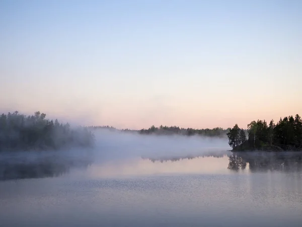 Waldsee Mit Morgennebel Über Dem Wasser — Stockfoto