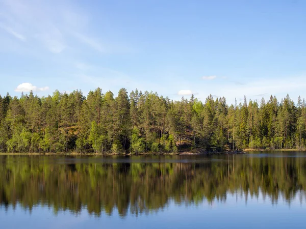 Landskap Stranden Skogssjö Med Reflektioner — Stockfoto