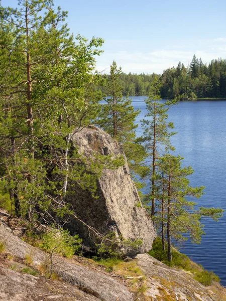森の湖のほとりにある岩や松は — ストック写真
