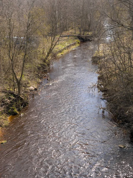 Landschap Aan Rivier Het Voorjaar — Stockfoto