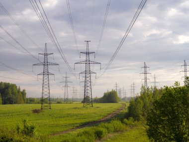 Yazın başında elektrik hattı olan bir manzara