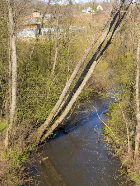 Güneşli Bir Günde Küçük Bir Nehri Olan Bahar Manzarası — Stok fotoğraf