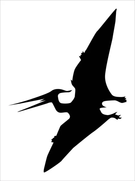Pterodactyl, vliegende dinosaurus — Gratis stockfoto