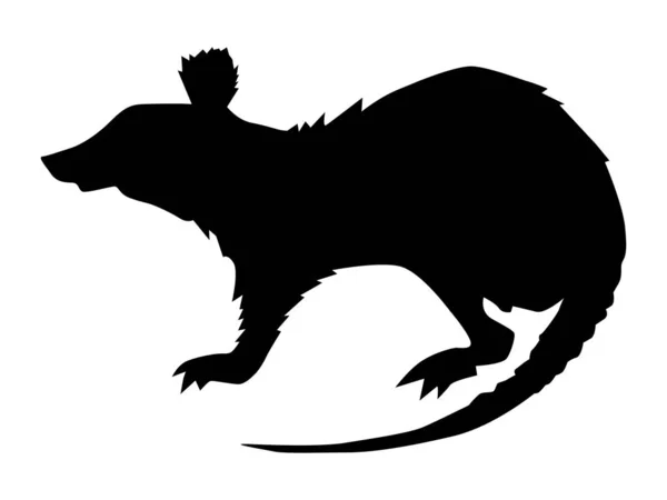 Silhouette der Ratte — Stockvektor