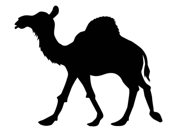 Silhouet van camel — Stockvector