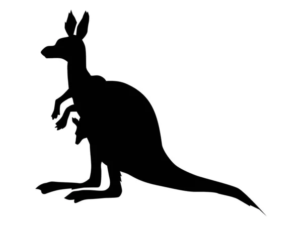 Silhouette of kangaroo with a baby — Stock Vector