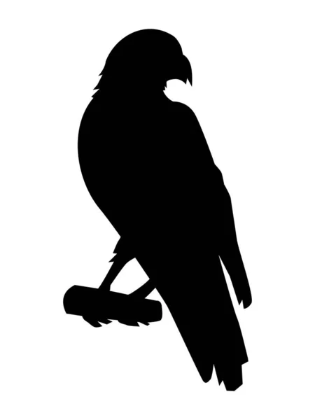 Vector silhouette of hawk. Motive of birds, wildlife, animals, n — Stock Vector