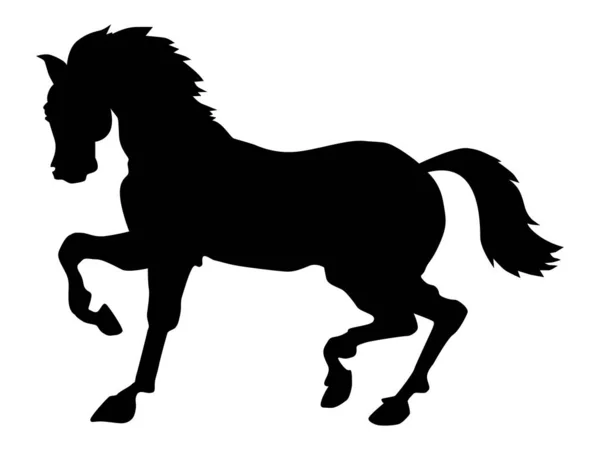 Silueta vectorial de caballo tittuping. Motivos de velocidad, ra caballo — Vector de stock