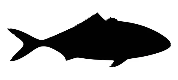 白い背景の上のマグロのシルエット ベクトル図 — ストックベクタ