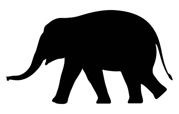 Silhouet Olifant Witte Achtergrond Vectorillustratie — Stockvector