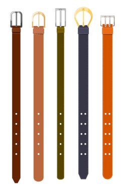 Waist leather is colored in a dark and light, thick and thin strap. Set of male accessories on a white background. Vector illustration