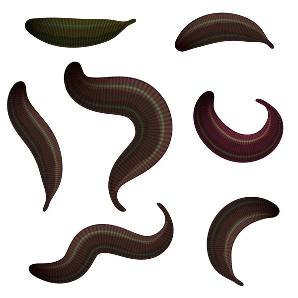 Set Leeches White Background Collection Medical Leeches Isolated Animals Vector — Stock Vector