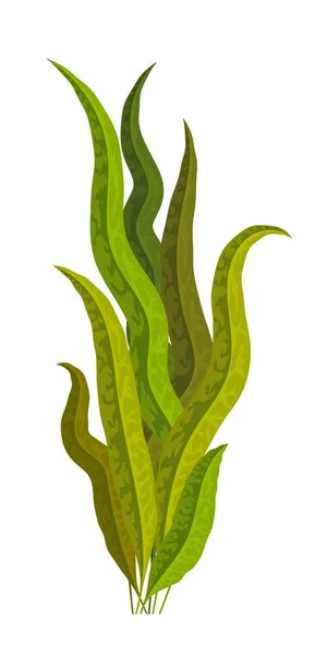 Seaweed Green White Background Medicinal Food Additive Spirulina Cartoon Style — Stock Vector