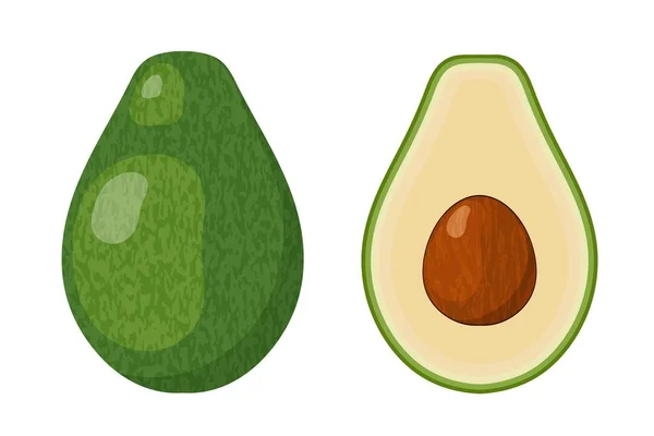 Two Halves Ripe Juicy Avocado Bone White Background Vector Illustration — Stock Vector