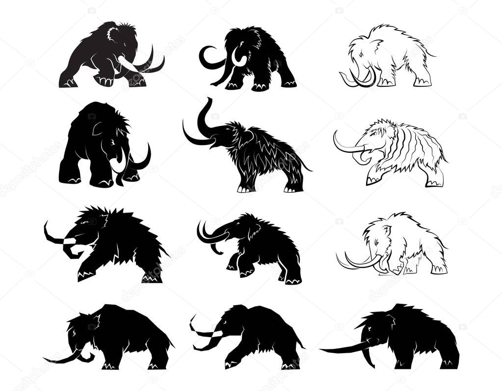 Set of black silhouettes of mammoths on a white background. Prehistoric animals of the ice age in various poses. Elements of nature and evolutionary development. Vector illustratio