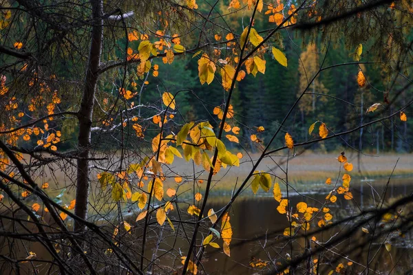 Autumn landscape. Russia. Ural landscape