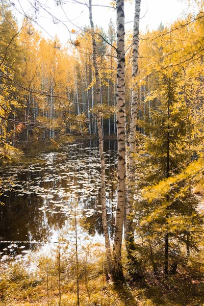  Sonbahar manzarası. - Rusya. Ural manzara