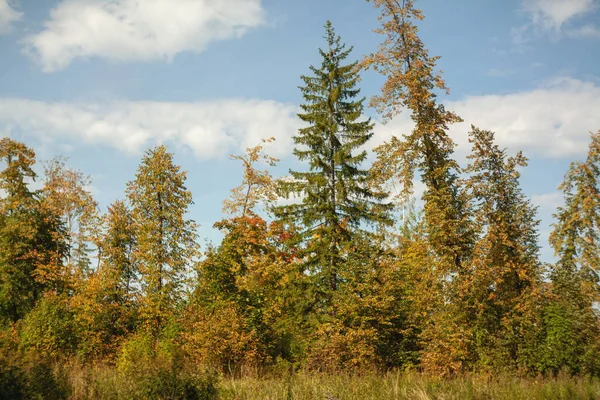 Autumn landscape. Russia. Ural landscape