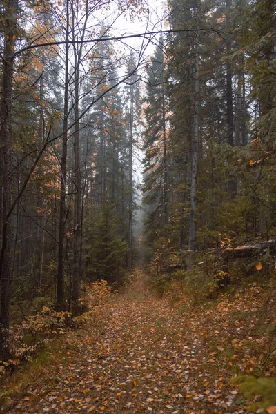 Podzimní Krajina Rusko Uralská Krajina — Stock fotografie