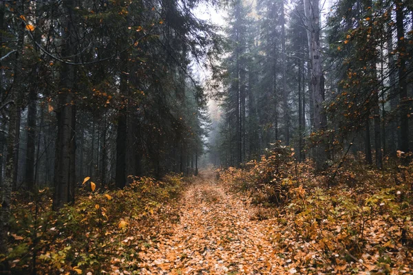 Podzimní Krajina Rusko Uralská Krajina — Stock fotografie