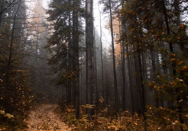 Jesienny Krajobraz Rosja Krajobraz Uralny — Zdjęcie stockowe