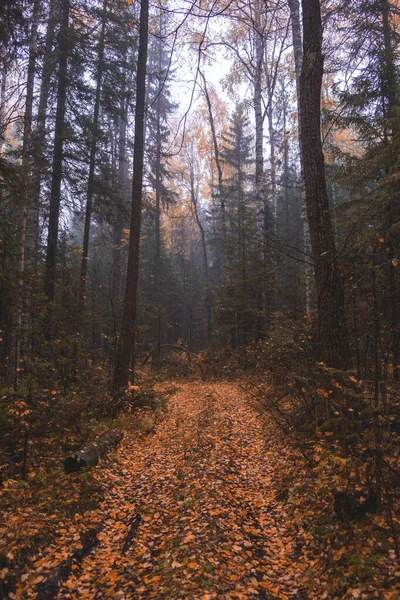 Paisaje Otoño Rusia Paisaje Ural —  Fotos de Stock