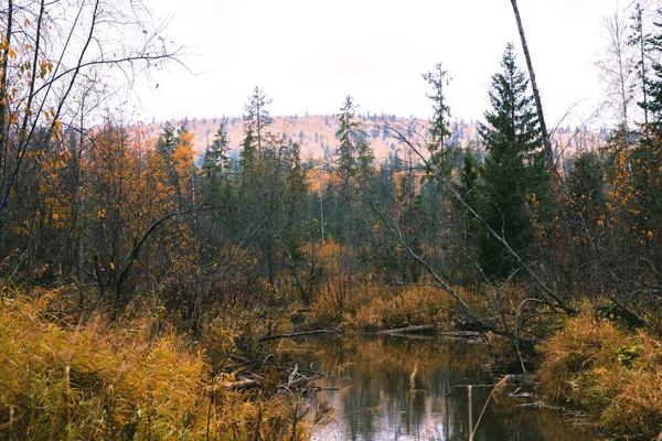 Paisaje Otoño Rusia Paisaje Ural —  Fotos de Stock