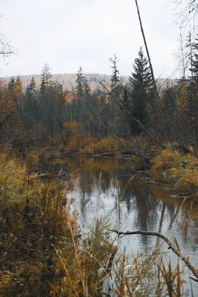 Paysage Automne Russie Paysage Oural — Photo