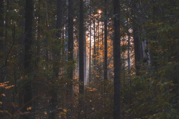 Herfstlandschap Rusland Oeral Landschap — Stockfoto