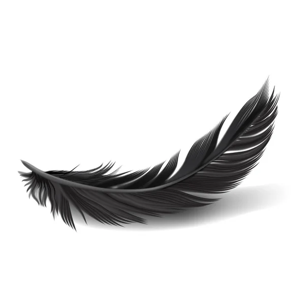 Black Feather Stock Illustration - Download Image Now - Feather
