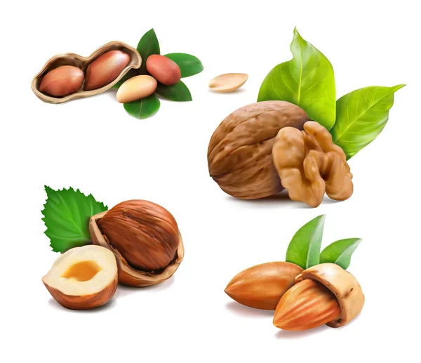 Vector Illustration Mix Different Types Nuts White Backgroun — Stock Vector