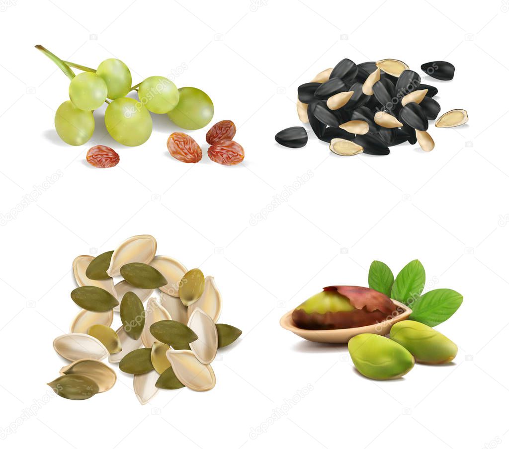 Set of pistachios, seeds, pumpkin seeds, raisins from grapes on a white background. Vector illustration.