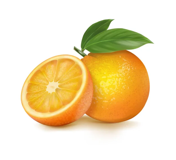 Oranje Geheel Segmenten Van Sinaasappelen Vectorillustratie — Stockvector