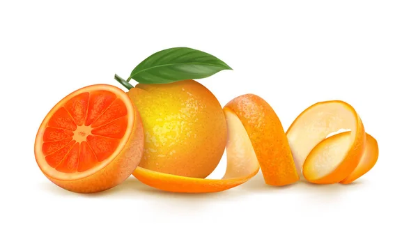 Grapefruits Met Bladeren Vectorillustratie — Stockvector