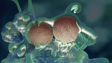 Bakteriyel enfeksiyon makro 3d çizim