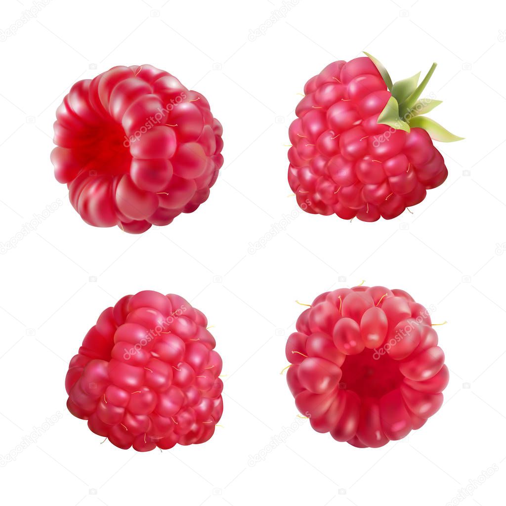Raspberry. 3d vector icons set. Realistic illustration